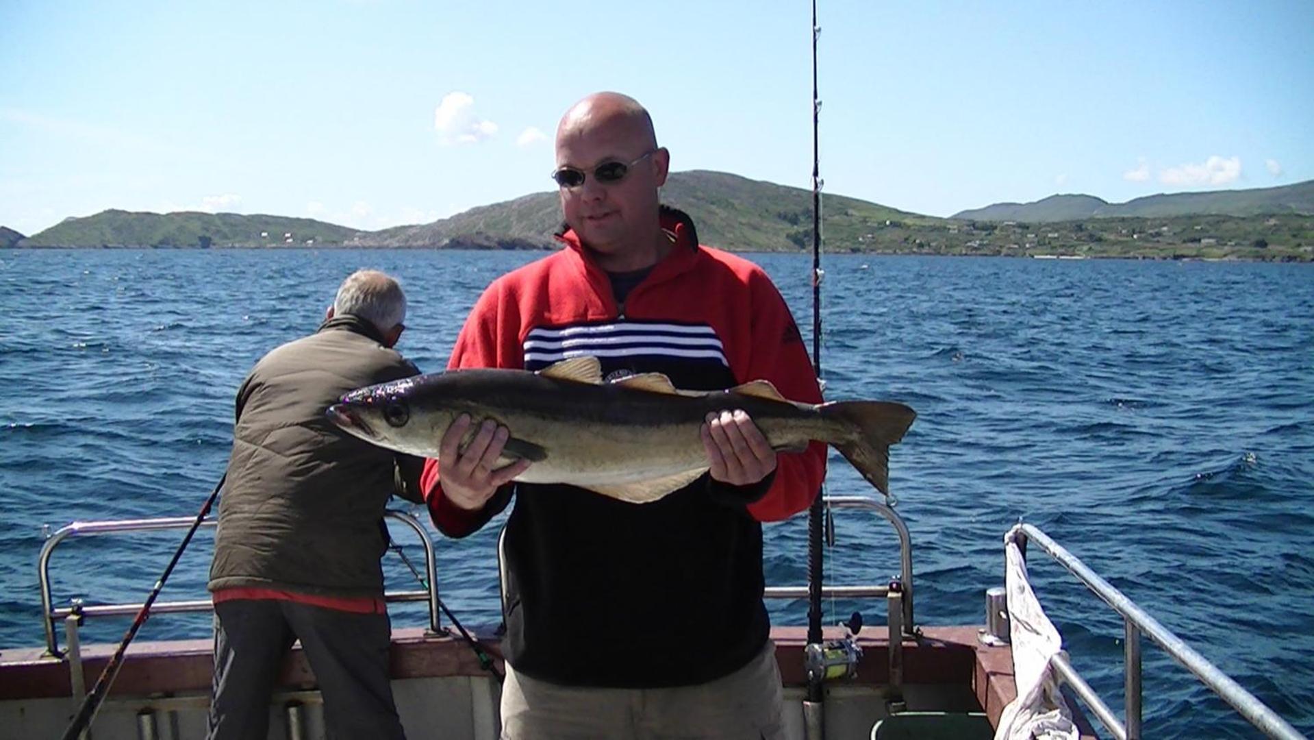 Sneem River Lodge Bed & Breakfast Екстериор снимка